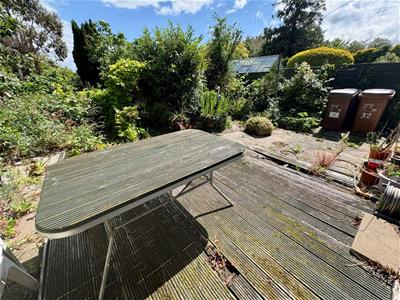 Picture 15